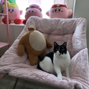 Fundraising Page: Trinity Rangel